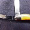 1968 Case 5220 Peanut Stag Handled Mini Jack Pocket Knife Mint USA No Dot Chrome - Image 5