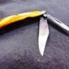 1968 Case 5220 Peanut Stag Handled Mini Jack Pocket Knife Mint USA No Dot Chrome - Image 6