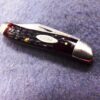 1970 Case 6220 Peanut Bone Handled Mini Jack Pocket Knife Mint 10 Dot - Image 12
