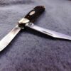 1970 Case 6220 Peanut Bone Handled Mini Jack Pocket Knife Mint 10 Dot - Image 4
