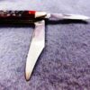 1970 Case 6220 Peanut Bone Handled Mini Jack Pocket Knife Mint 10 Dot - Image 6