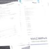 Sig Sauer Factory Manual, Papers, Hang Tag for P238 .380 Pistol 2009 7 Documents - Image 4