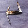 1950s Krusius Brothers Senator Lobster type Pen Pocket Knife Horn Handles