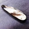 1950s Krusius Brothers Senator Lobster type Pen Pocket Knife Horn Handles - Image 13