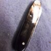 1950s Krusius Brothers Senator Lobster type Pen Pocket Knife Horn Handles - Image 14