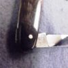 1950s Krusius Brothers Senator Lobster type Pen Pocket Knife Horn Handles - Image 3