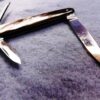 1950s Krusius Brothers Senator Lobster type Pen Pocket Knife Horn Handles - Image 6