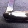 1950s Krusius Brothers Senator Lobster type Pen Pocket Knife Horn Handles - Image 7