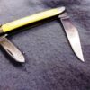1979 Case 03244 Yellow Handle 2 Blade Pen Pocket Knife with Fob Loop - Image 6