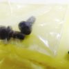 9 Colt Grip Screws 4 1911 Bushings, Recoil Spring Guide 14 Parts $2 each - Image 3
