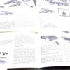 Interarms Instruction Manual for Walther PP PPK PPKS Pistols 1987 Exc 39 Pages - Image 9