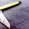 1940s Thornton USA 1 Blade Jack Pocket Knife Blemished Bolster ow Good - Image 4