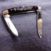 1970 Case XX 10 Dot Brown Bone 2 Blade Pen Pocket Knife 6233  Exc - Image 7