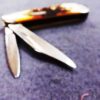 1991 Case 5220 SS Stainless Peanut Sambar Stag Handle Mini Jack Pocket Knife - Image 5