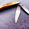 1991 Case 5220 SS Stainless Peanut Sambar Stag Handle Mini Jack Pocket Knife - Image 7