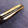 1991 Case 5220 SS Stainless Peanut Sambar Stag Handle Mini Jack Pocket Knife - Image 10