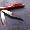 1991 Case 6220 SS Stainless Peanut Pink Bone Handle Mini Jack Pocket Knife Mint - Image 4